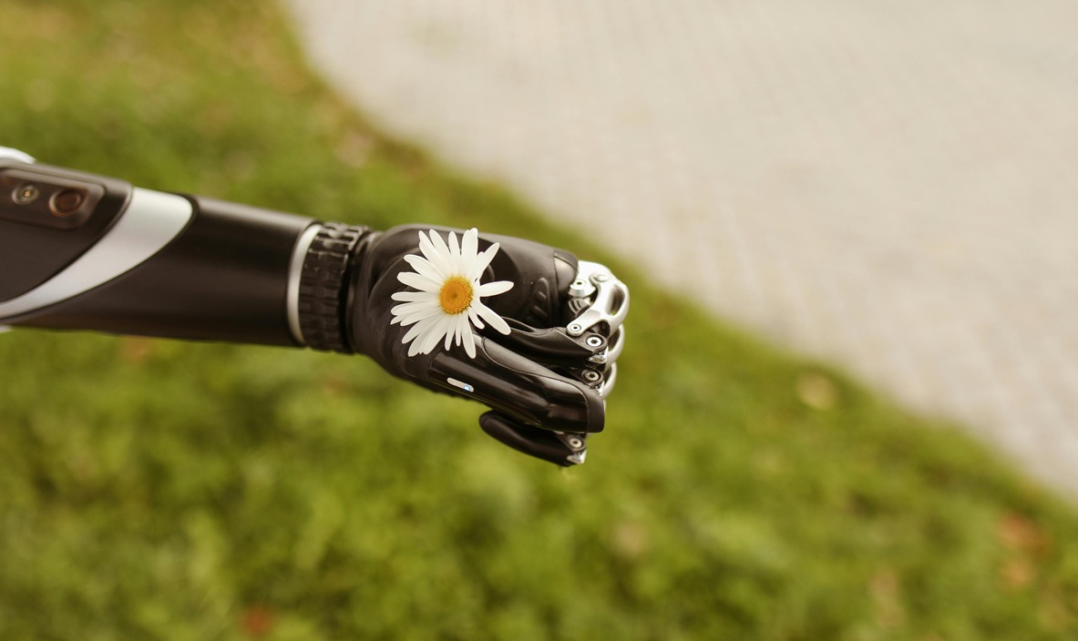 Photo by Polina Tankilevitch on Pexels