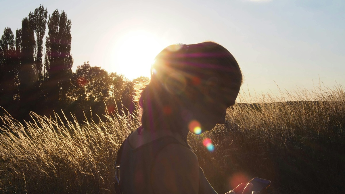 A person silhouetted against a sunset, looking at their phone.